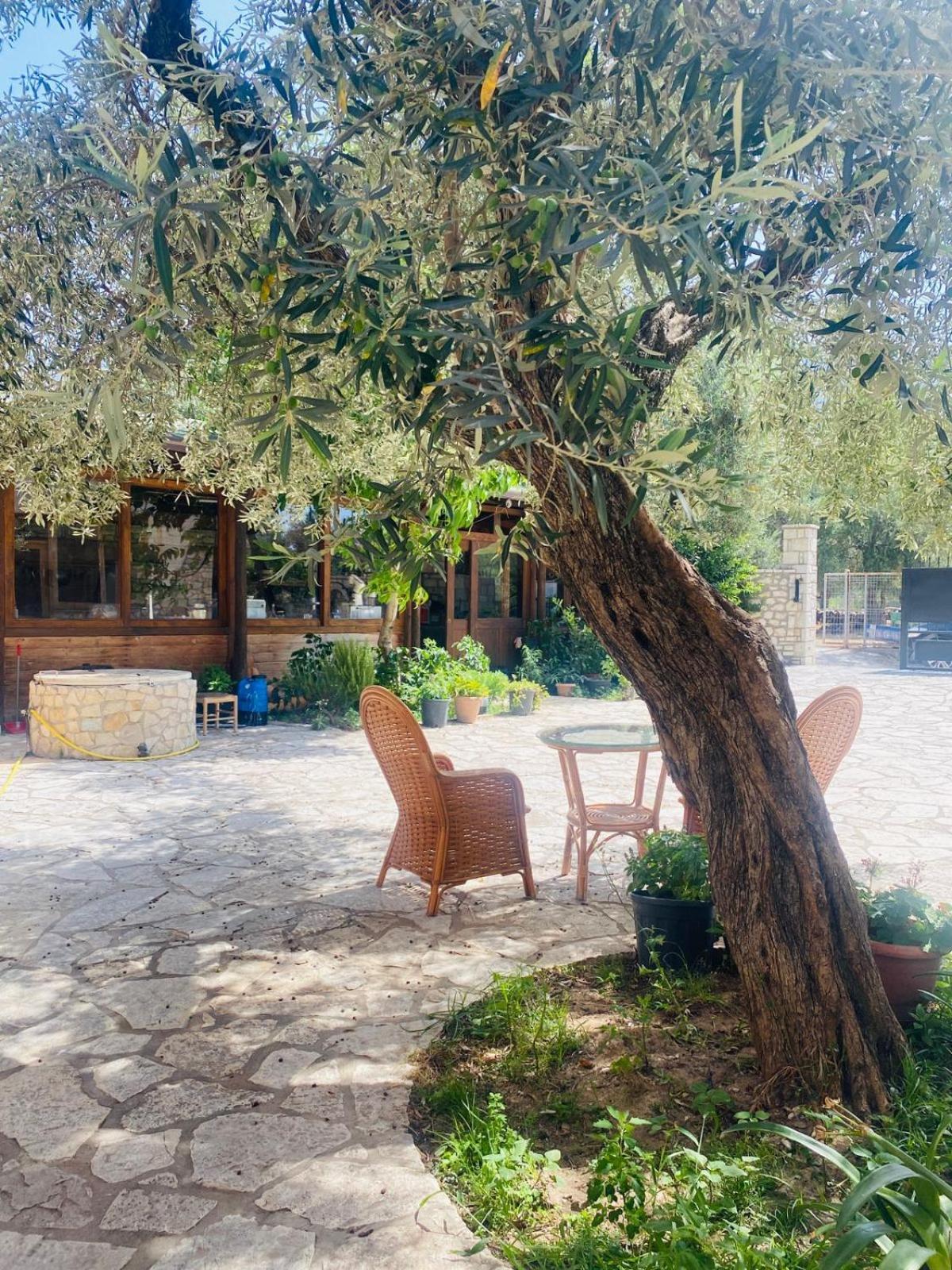 Irini'S Guesthouse Qeparo Kültér fotó