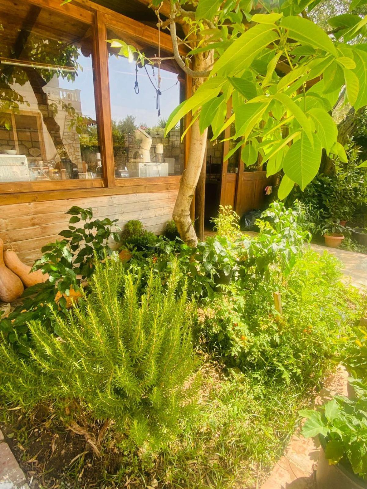 Irini'S Guesthouse Qeparo Kültér fotó
